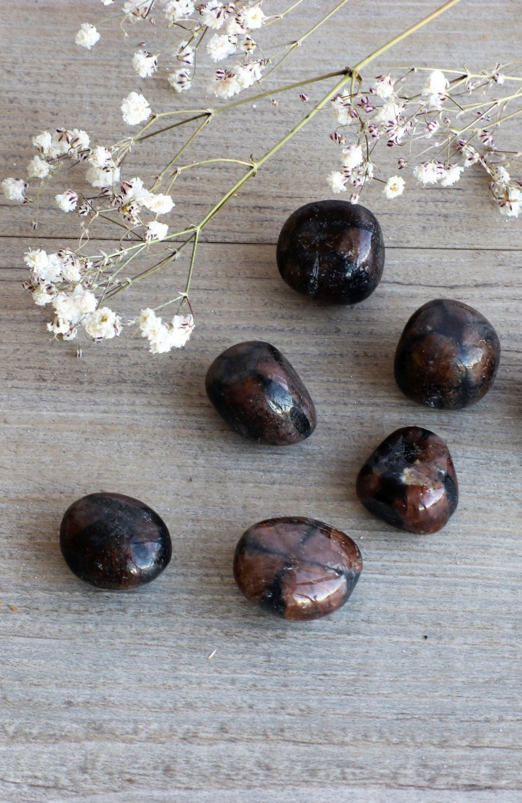 Chiastolite Tumbled Stone